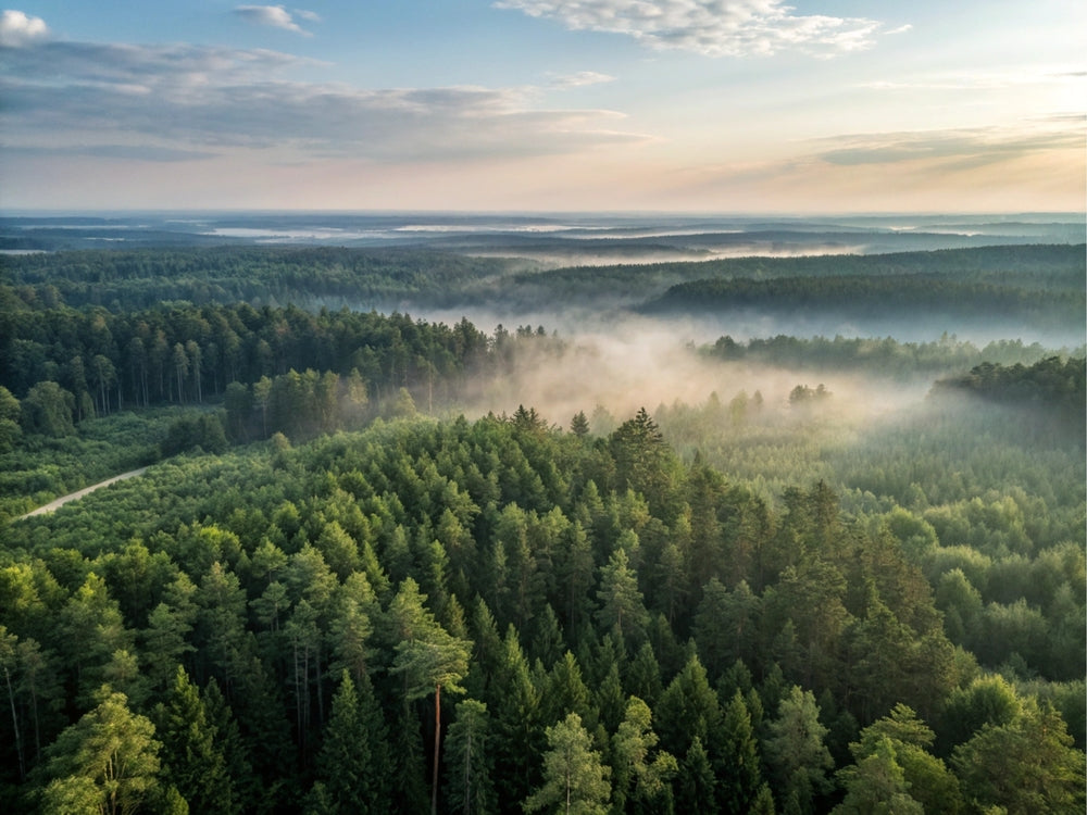 Warum du Zeit in der Natur verbringen solltest