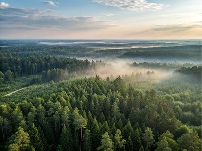 Warum du Zeit in der Natur verbringen solltest
